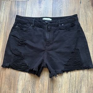 NWOT High Rise Shorts